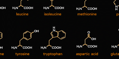 Amino Acid Therapy