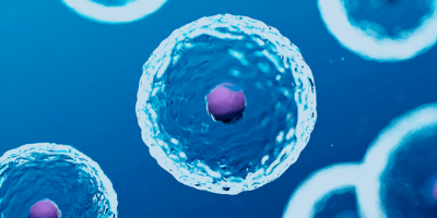 Oncotrace CTC Markers and Treatment Mapping