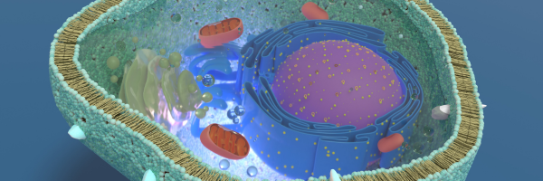 Untitled design 2026 02 17T112040.704