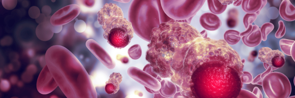 Untitled design 2026 02 18T140231.058