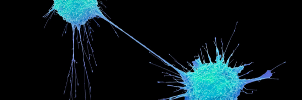 header image cancer development