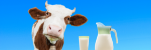 Not Milk 1