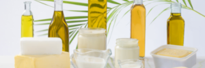 The Language of Fats
