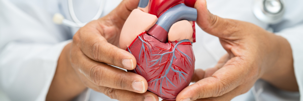 Heavy Metals and Cardiovascular Health 8 Untitled design 91