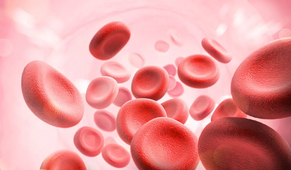 Platelet Rich Plasma