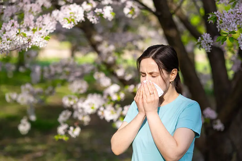 woman sneezing