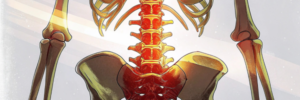 bone